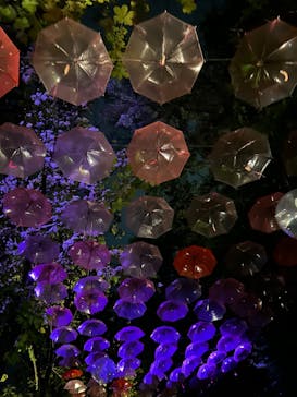 ムーミンバレーパークに投稿された画像（2024/8/31）