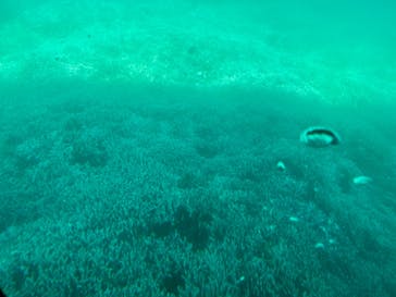 もとぶ元気村に投稿された画像（2024/8/31）