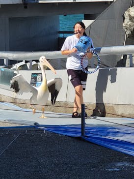 大分マリーンパレス水族館 「うみたまご」に投稿された画像（2024/8/31）
