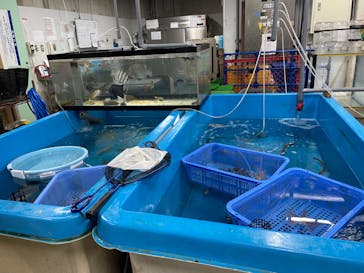 横浜・八景島シーパラダイスに投稿された画像（2024/8/31）