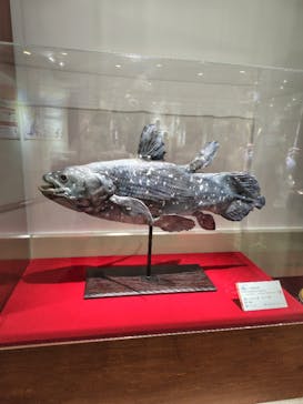 岐阜県博物館に投稿された画像（2024/8/31）