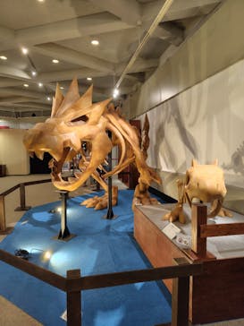 岐阜県博物館に投稿された画像（2024/8/31）