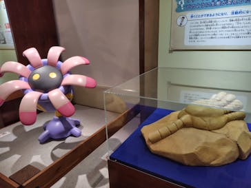 岐阜県博物館に投稿された画像（2024/8/31）