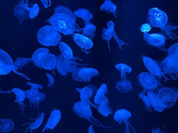 AOAO SAPPOROに投稿された画像（2024/8/31）