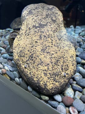 AOAO SAPPOROに投稿された画像（2024/8/31）