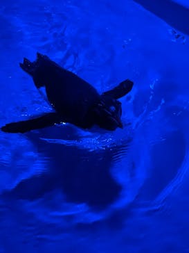 AOAO SAPPOROに投稿された画像（2024/8/31）