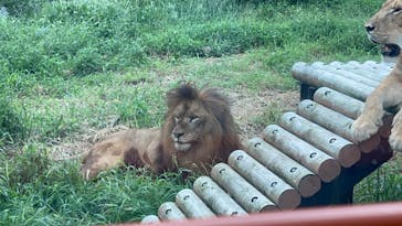 多摩動物公園に投稿された画像（2024/8/31）