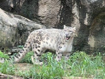 多摩動物公園に投稿された画像（2024/8/31）
