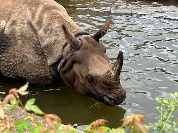多摩動物公園に投稿された画像（2024/8/31）