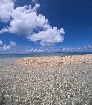 西表島 ADVENTURE PiPi（アドベンチャーピピ）に投稿された画像（2024/8/31）