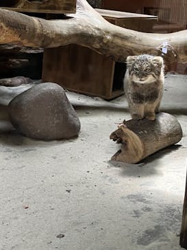 恩賜上野動物園に投稿された画像（2024/8/31）