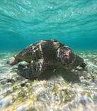 nico 宮古島に投稿された画像（2024/8/31）