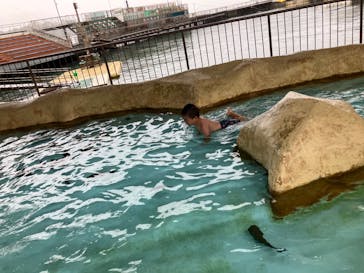 伊豆・三津シーパラダイスに投稿された画像（2024/8/31）