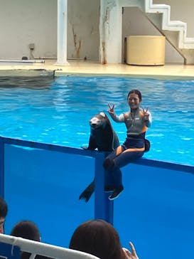 伊豆・三津シーパラダイスに投稿された画像（2024/8/31）