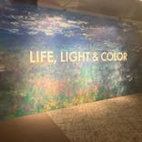 モネ＆フレンズ・アライブに投稿された画像（2024/8/31）