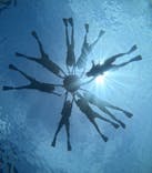 西表島 ADVENTURE PiPi（アドベンチャーピピ）に投稿された画像（2024/8/31）