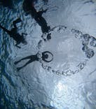 西表島 ADVENTURE PiPi（アドベンチャーピピ）に投稿された画像（2024/8/31）