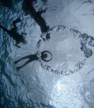 西表島 ADVENTURE PiPi（アドベンチャーピピ）に投稿された画像（2024/8/31）