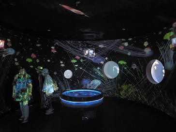 仙台うみの杜水族館に投稿された画像（2024/8/31）