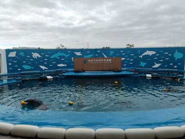 仙台うみの杜水族館に投稿された画像（2024/8/31）