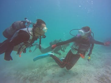 アクアドロップに投稿された画像（2024/8/31）