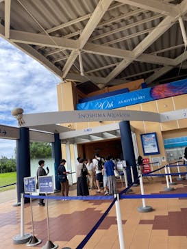 新江ノ島水族館に投稿された画像（2024/8/31）