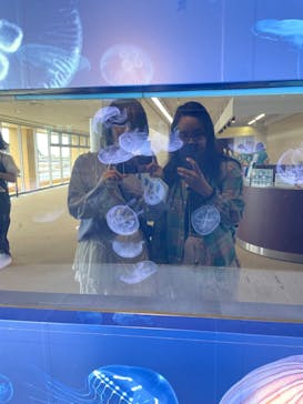 新江ノ島水族館に投稿された画像（2024/8/31）