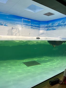 滋賀県立琵琶湖博物館に投稿された画像（2024/8/31）