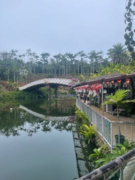 美らヤシパークオキナワ・東南植物楽園に投稿された画像（2024/8/31）
