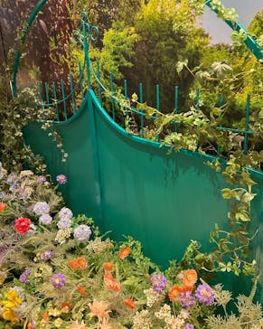 モネ＆フレンズ・アライブに投稿された画像（2024/8/31）