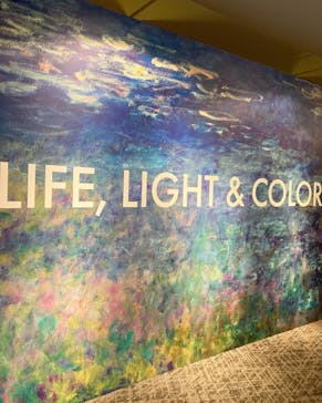 モネ＆フレンズ・アライブに投稿された画像（2024/8/31）