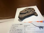 巨大恐竜展2024に投稿された画像（2024/9/1）