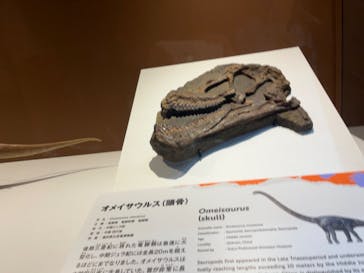 巨大恐竜展2024に投稿された画像（2024/8/31）
