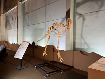 巨大恐竜展2024に投稿された画像（2024/8/31）