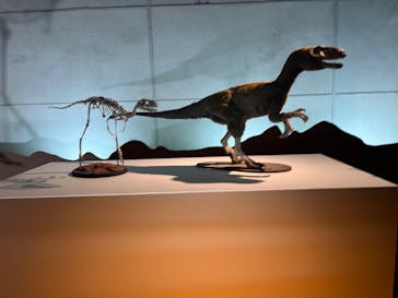 巨大恐竜展2024に投稿された画像（2024/8/31）