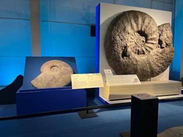 巨大恐竜展2024に投稿された画像（2024/8/31）