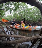 西表島 ADVENTURE PiPi（アドベンチャーピピ）に投稿された画像（2024/9/1）