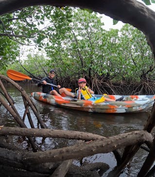 西表島 ADVENTURE PiPi（アドベンチャーピピ）に投稿された画像（2024/9/1）