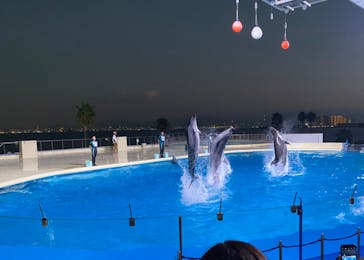 マリンワールド海の中道に投稿された画像（2024/9/1）