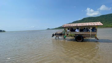 西表島 ADVENTURE PiPi（アドベンチャーピピ）に投稿された画像（2024/9/1）