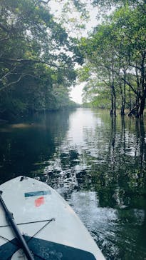 西表島 ADVENTURE PiPi（アドベンチャーピピ）に投稿された画像（2024/9/1）