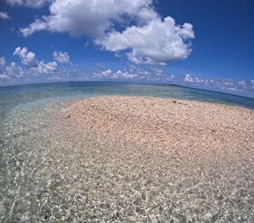 西表島 ADVENTURE PiPi（アドベンチャーピピ）に投稿された画像（2024/9/1）