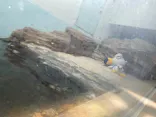 仙台うみの杜水族館に投稿された画像（2024/9/1）
