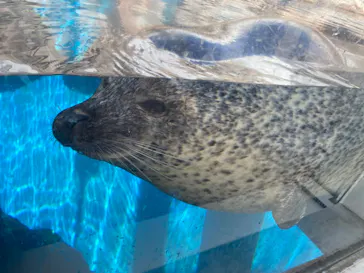 仙台うみの杜水族館に投稿された画像（2024/9/1）