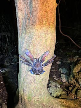 宮古島マリン SUGAR3（シュガースリー）に投稿された画像（2024/9/1）