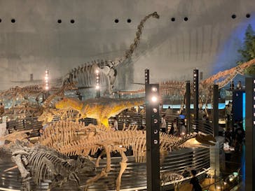 福井県立恐竜博物館に投稿された画像（2024/9/1）