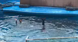 仙台うみの杜水族館に投稿された画像（2024/9/1）