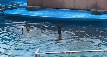 仙台うみの杜水族館に投稿された画像（2024/9/1）