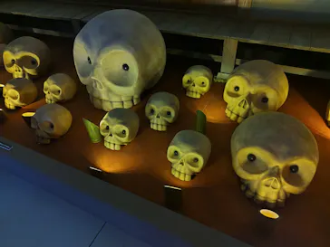 ひらかたパークに投稿された画像（2024/9/1）