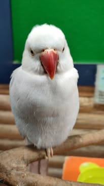 いきもの探検隊上尾に投稿された画像（2024/9/1）